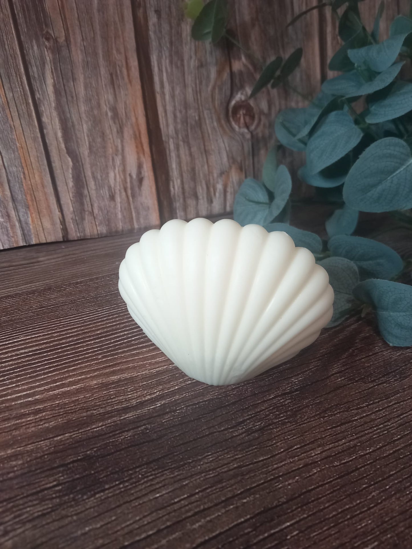 CONCHIGLIA